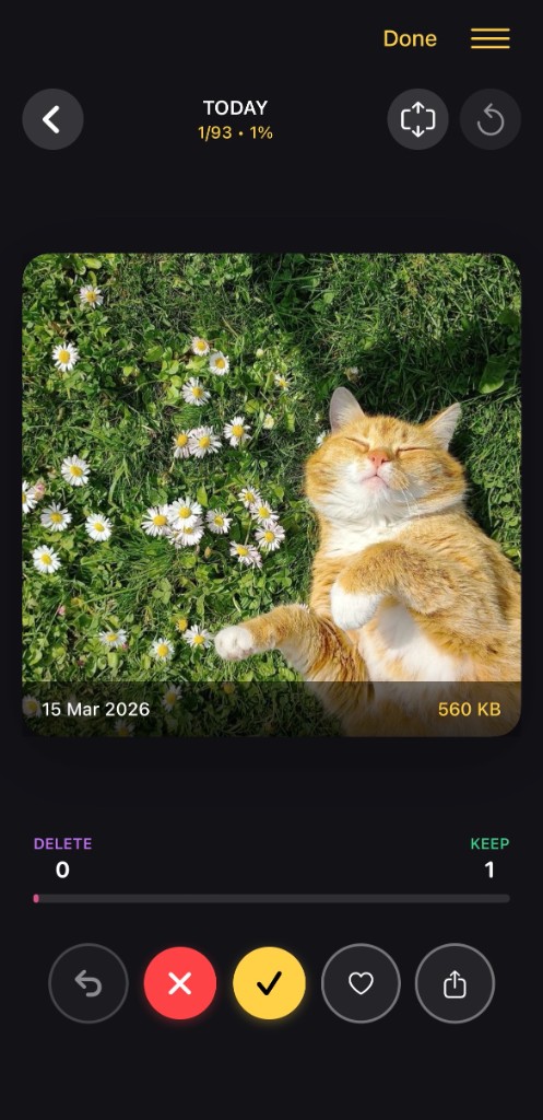 Swipe view showing one photo with Keep and Delete buttons and progress